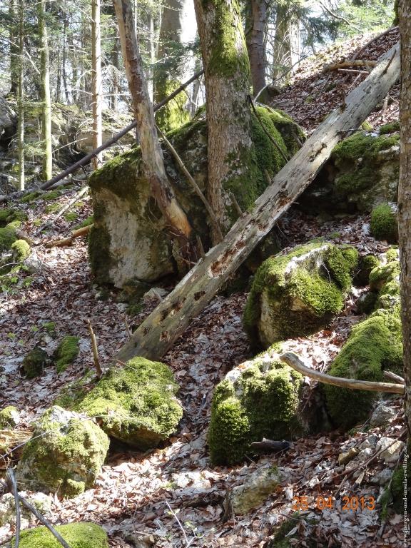 Philosophische Bildwanderung Traufgang-Felsenmeersteig