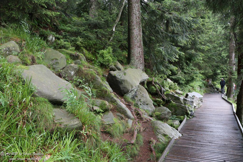 Mummelsee - Schwarzwald