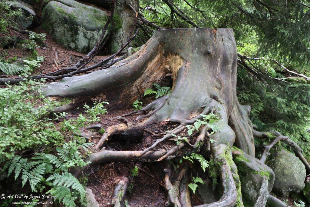 Mummelsee - Schwarzwald