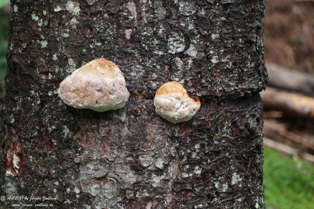 Mummelsee - Schwarzwald