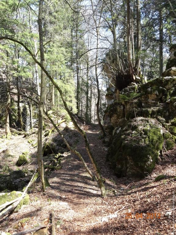 Philosophische Bildwanderung Traufgang-Felsenmeersteig