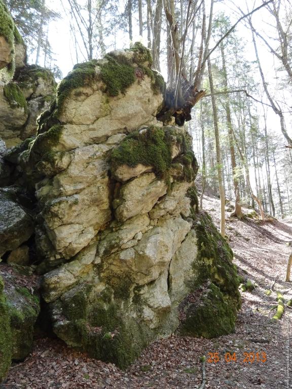 Philosophische Bildwanderung Traufgang-Felsenmeersteig