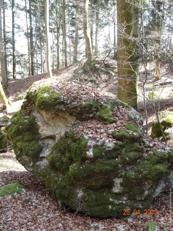 Philosophische Bildwanderung Traufgang-Felsenmeersteig