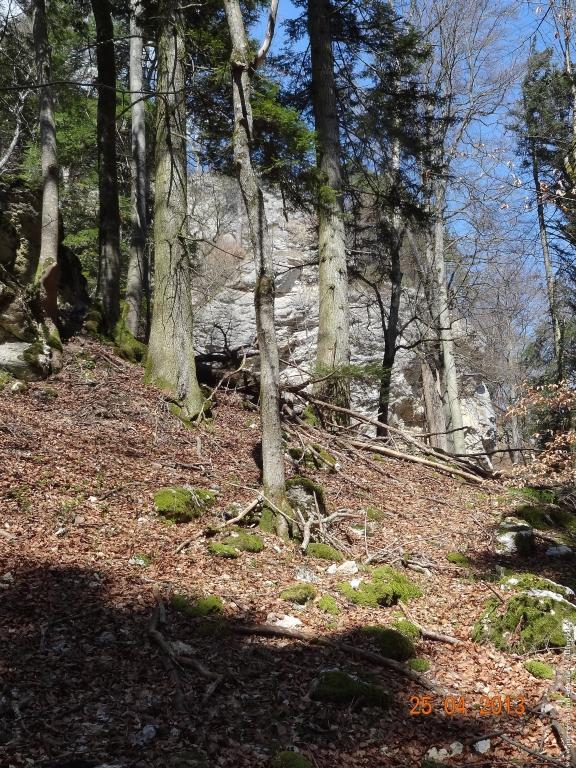 Philosophische Bildwanderung Traufgang-Felsenmeersteig