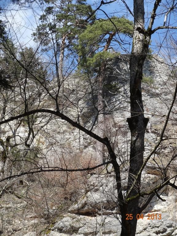 Philosophische Bildwanderung Traufgang-Felsenmeersteig