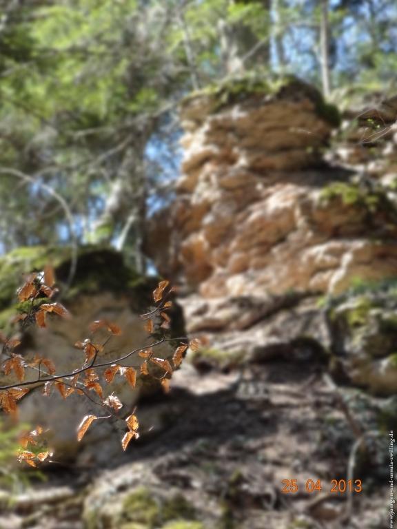Philosophische Bildwanderung Traufgang-Felsenmeersteig