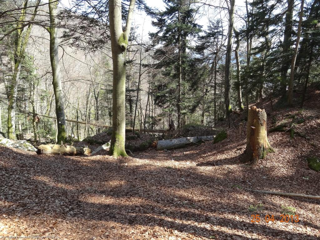 Philosophische Bildwanderung Traufgang-Felsenmeersteig