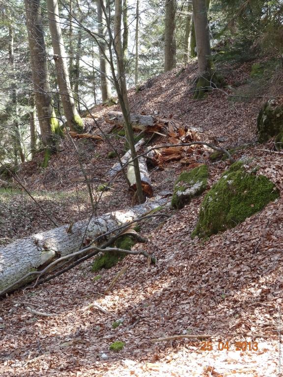 Philosophische Bildwanderung Traufgang-Felsenmeersteig