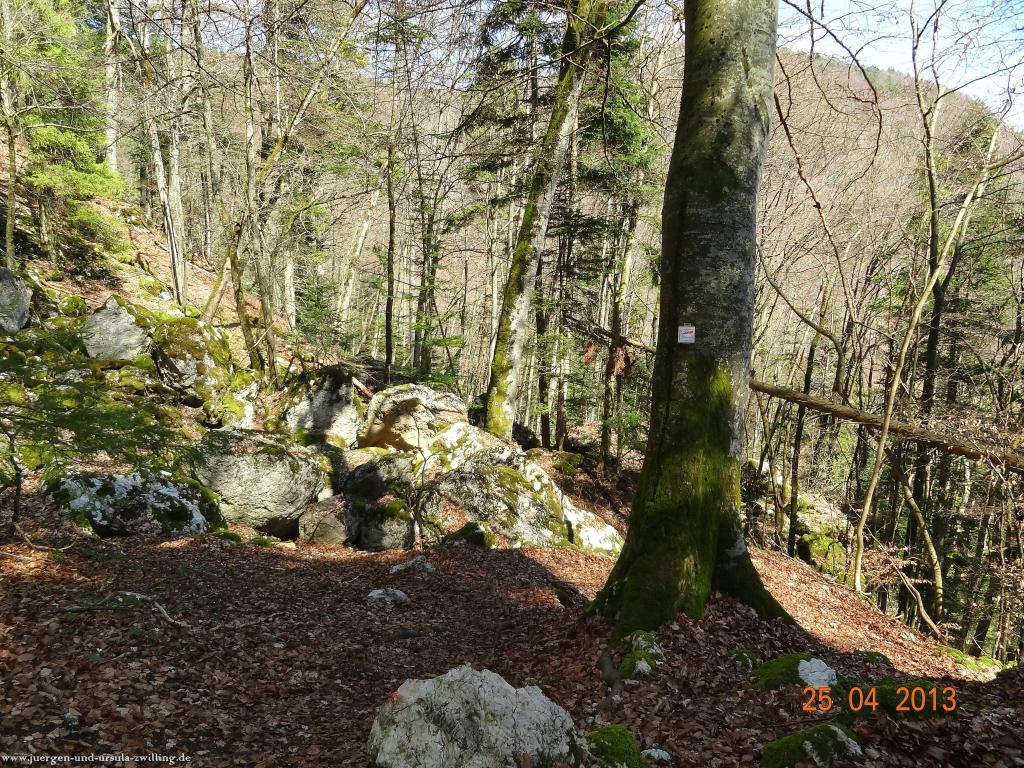 Philosophische Bildwanderung Traufgang-Felsenmeersteig