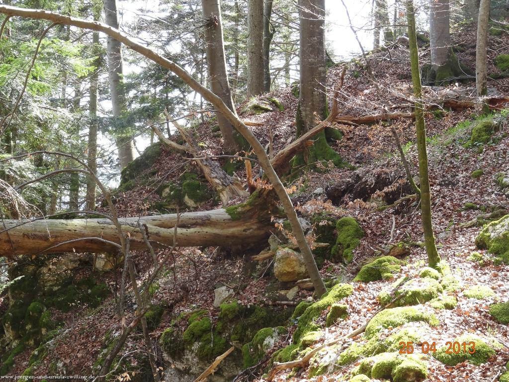 Philosophische Bildwanderung Traufgang-Felsenmeersteig