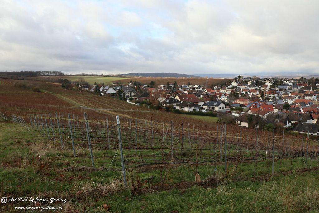 Dezember Weinberge - Hackenheim - Rheinhessen