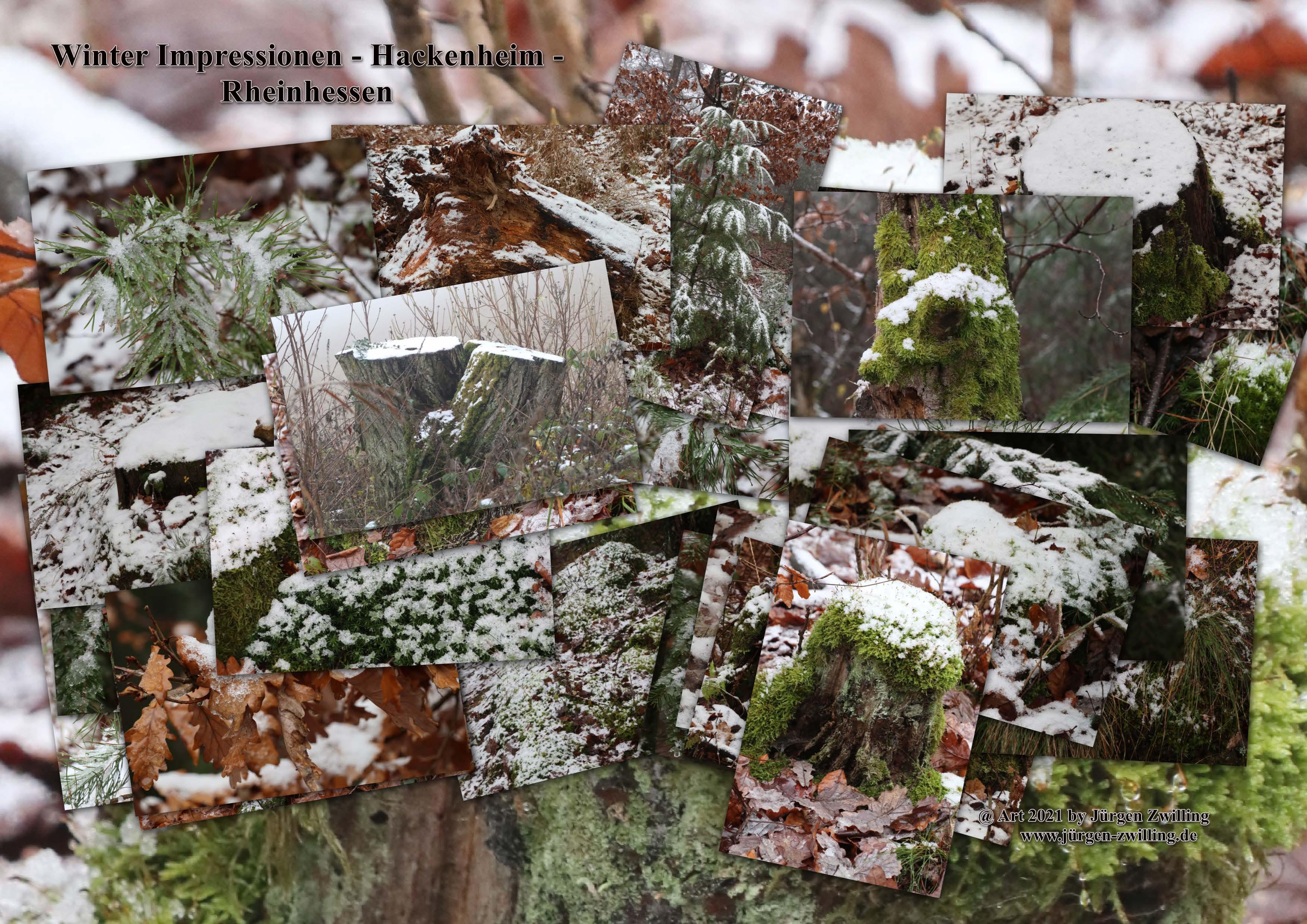 Winter Impression - Hackenheim - Rheinhessen