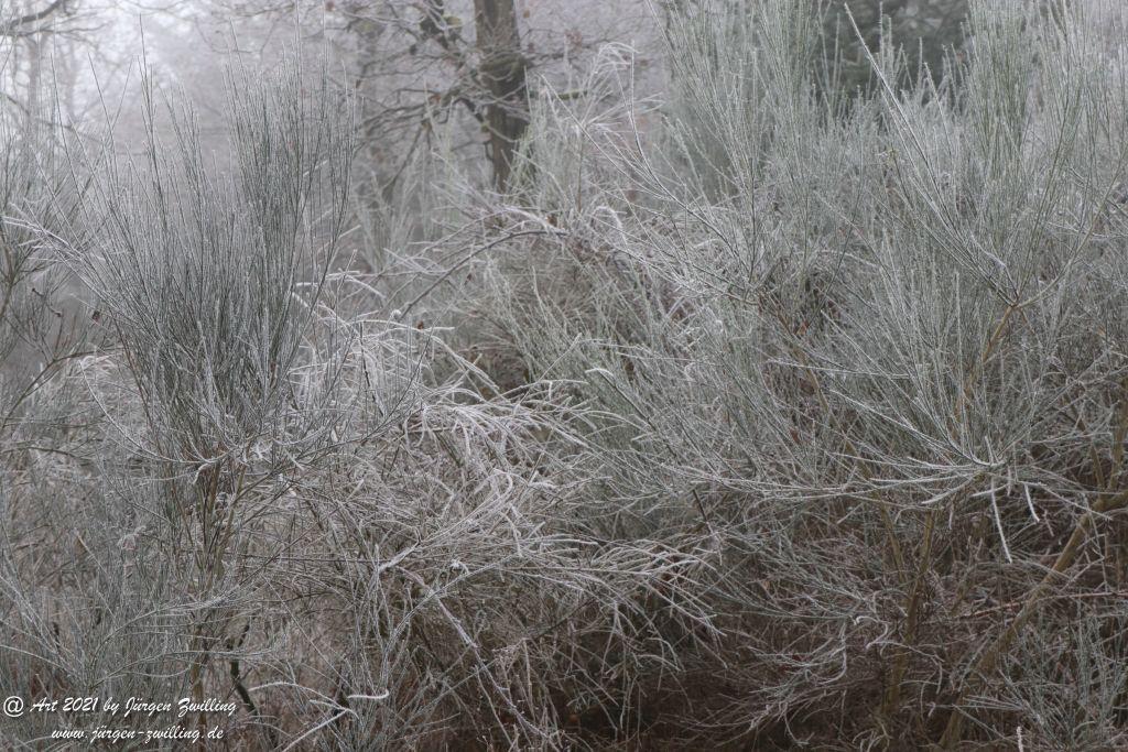 Natur - Frost - Kunst - Hackenheim - Rheinhessen