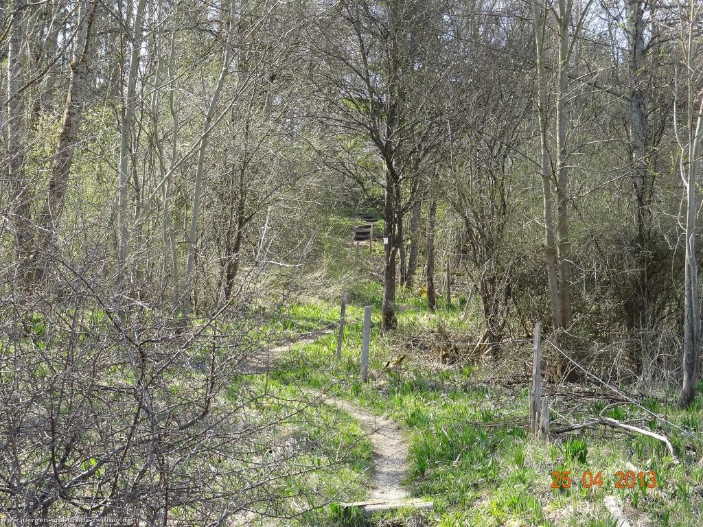 Philosophische Bildwanderung Traufgang-Felsenmeersteig