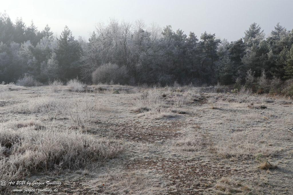 Natur - Frost - Kunst - Hackenheim - Rheinhessen