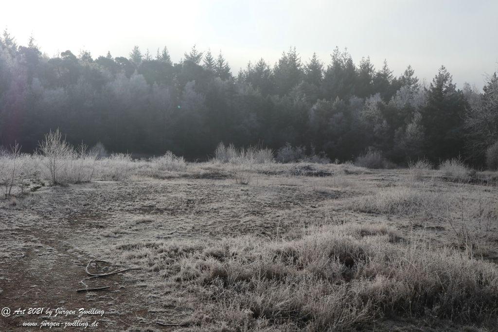 Natur - Frost - Kunst - Hackenheim - Rheinhessen