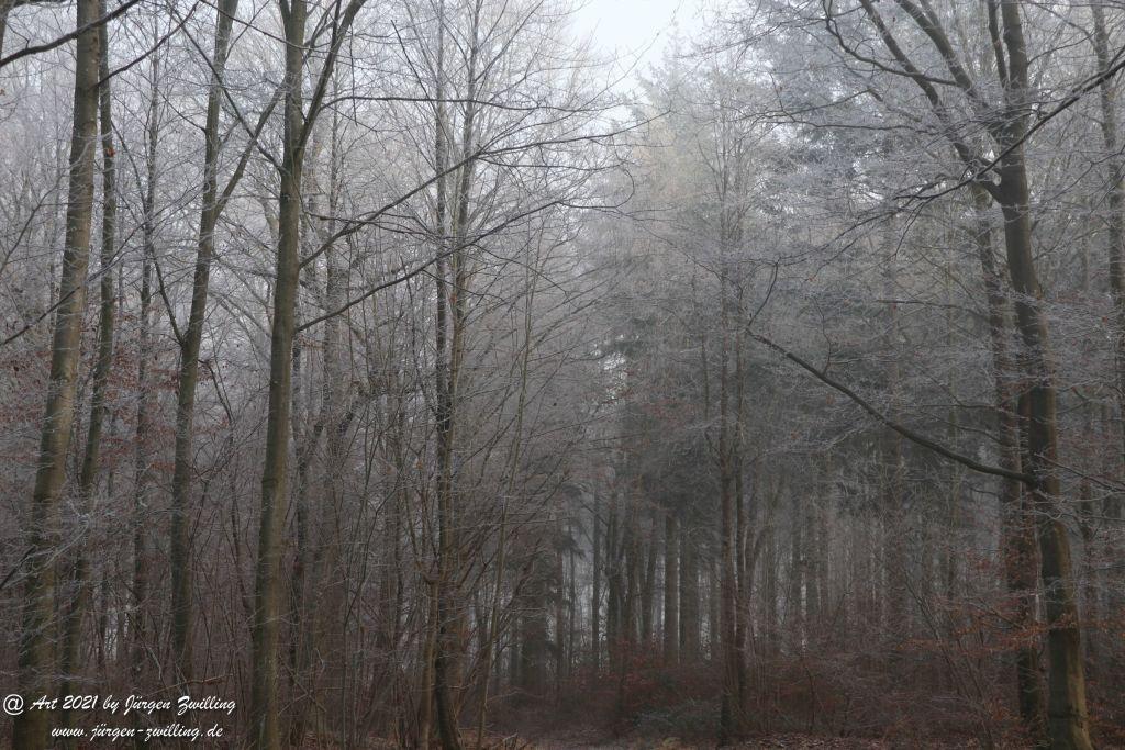 Natur - Frost - Kunst - Hackenheim - Rheinhessen