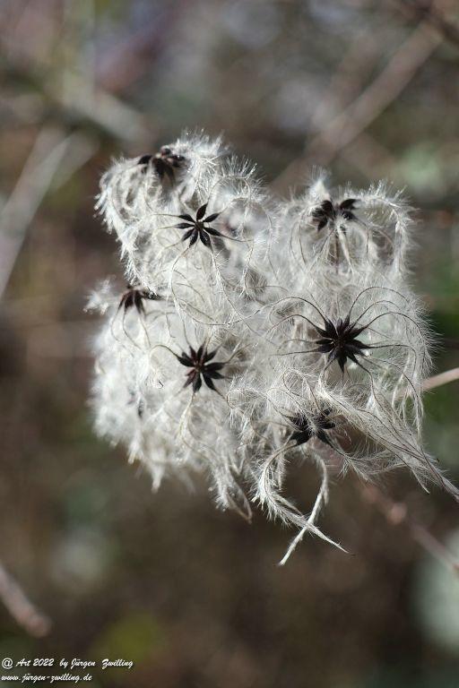 Philosophische Bildwanderung - Rund um die Kauzenburg Bad Kreuznach - Nahe - Rheinhessen