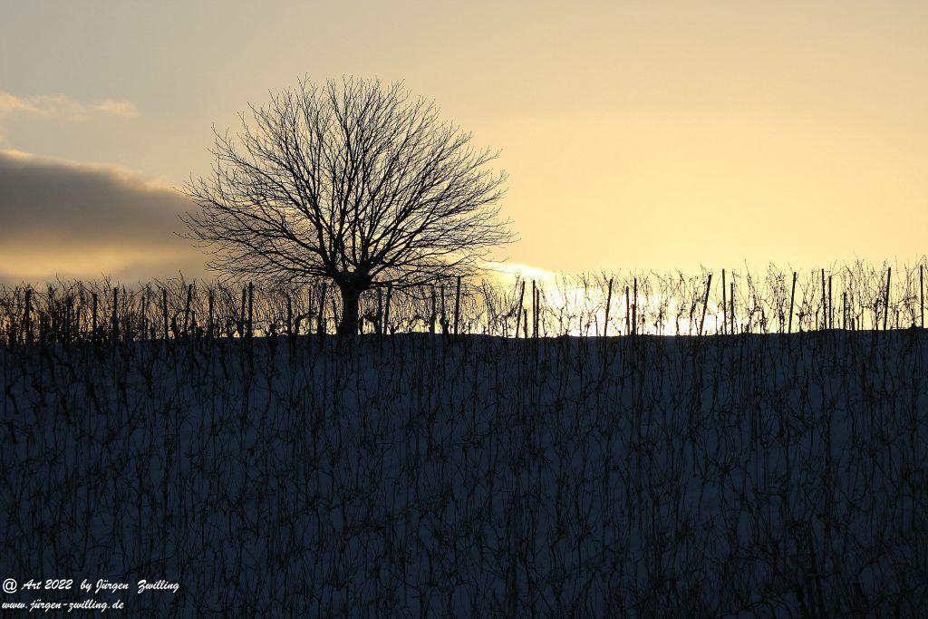 Schnee in Rheinhessen - Hackenheim