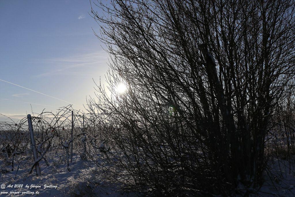 Schnee in Rheinhessen - Hackenheim