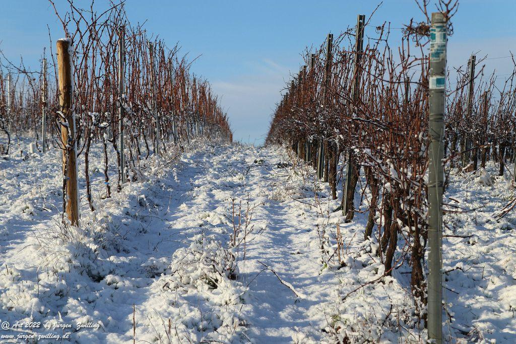 Schnee in Rheinhessen - Hackenheim