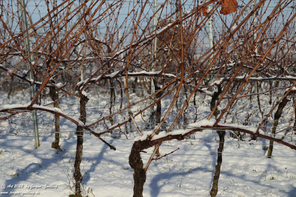 Schnee in Rheinhessen - Hackenheim