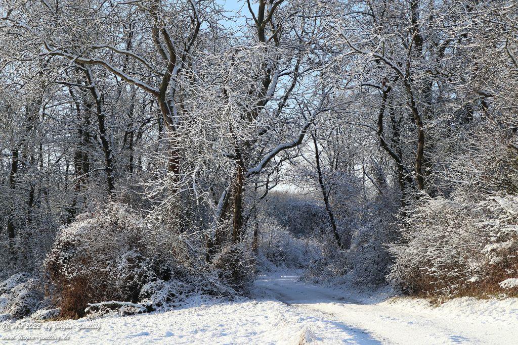 Schnee in Rheinhessen - Hackenheim