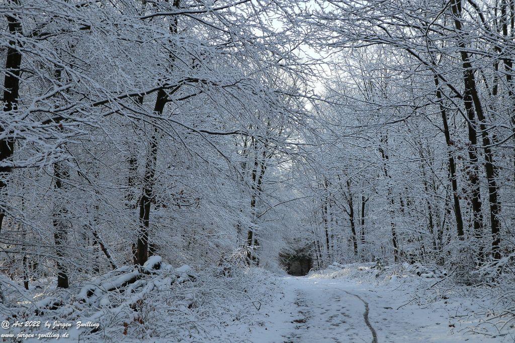 Schnee in Rheinhessen - Hackenheim
