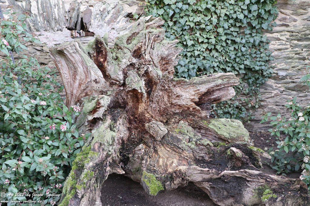Philosophische Bildwanderung - Panoramaweg St. Goar - Rhein