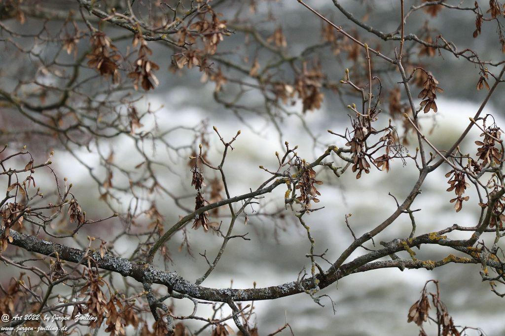 Wilde Nahe - Bad Kreuznach - Rheinhessen