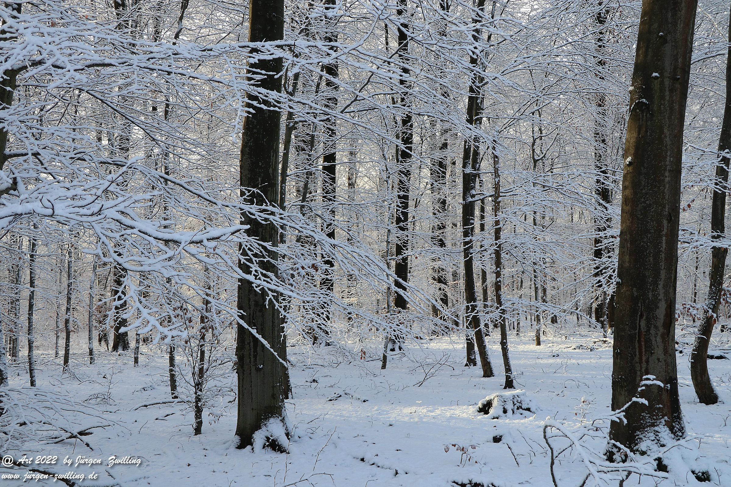 Schnee in Rheinhessen 12