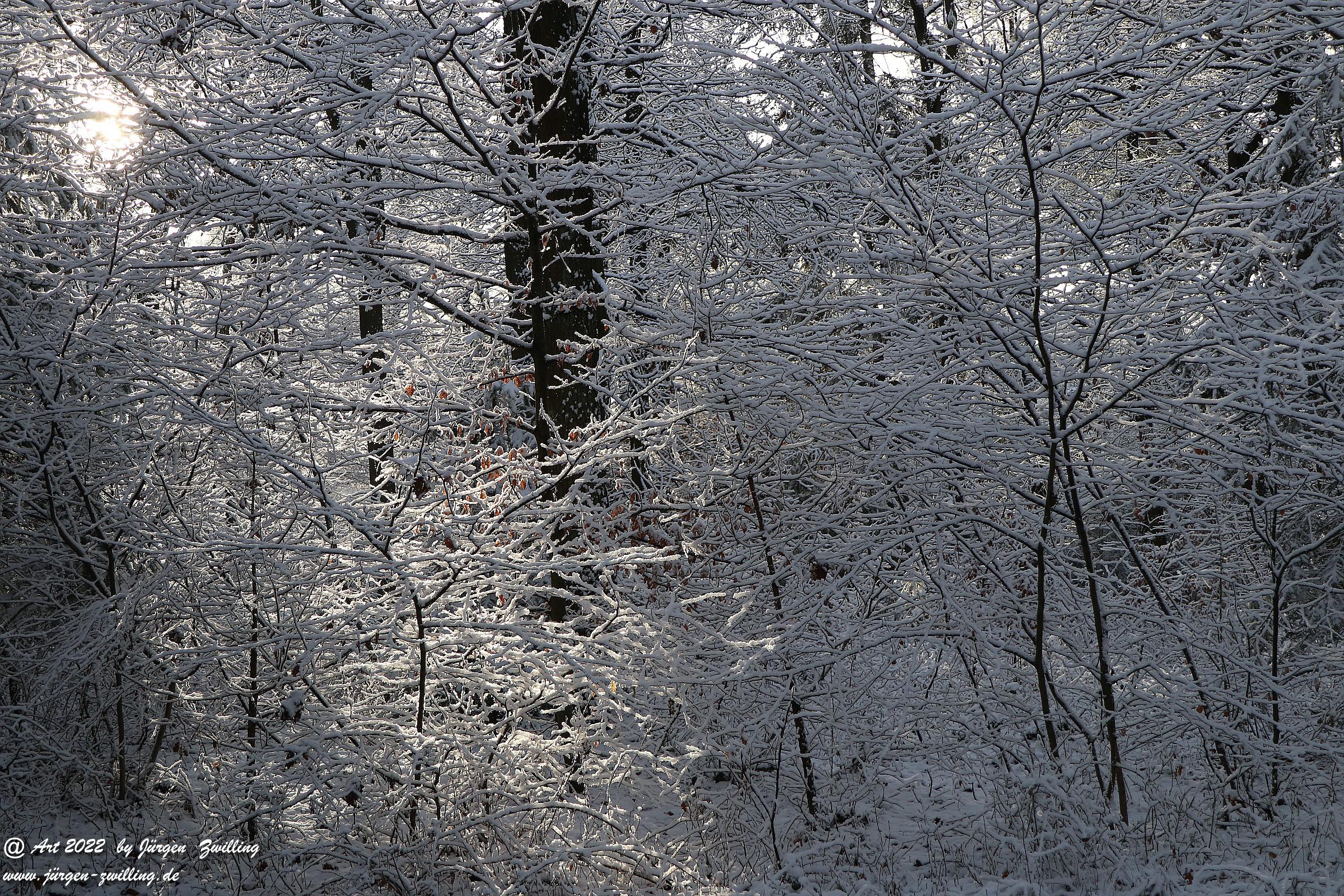 Schnee in Rheinhessen 14 