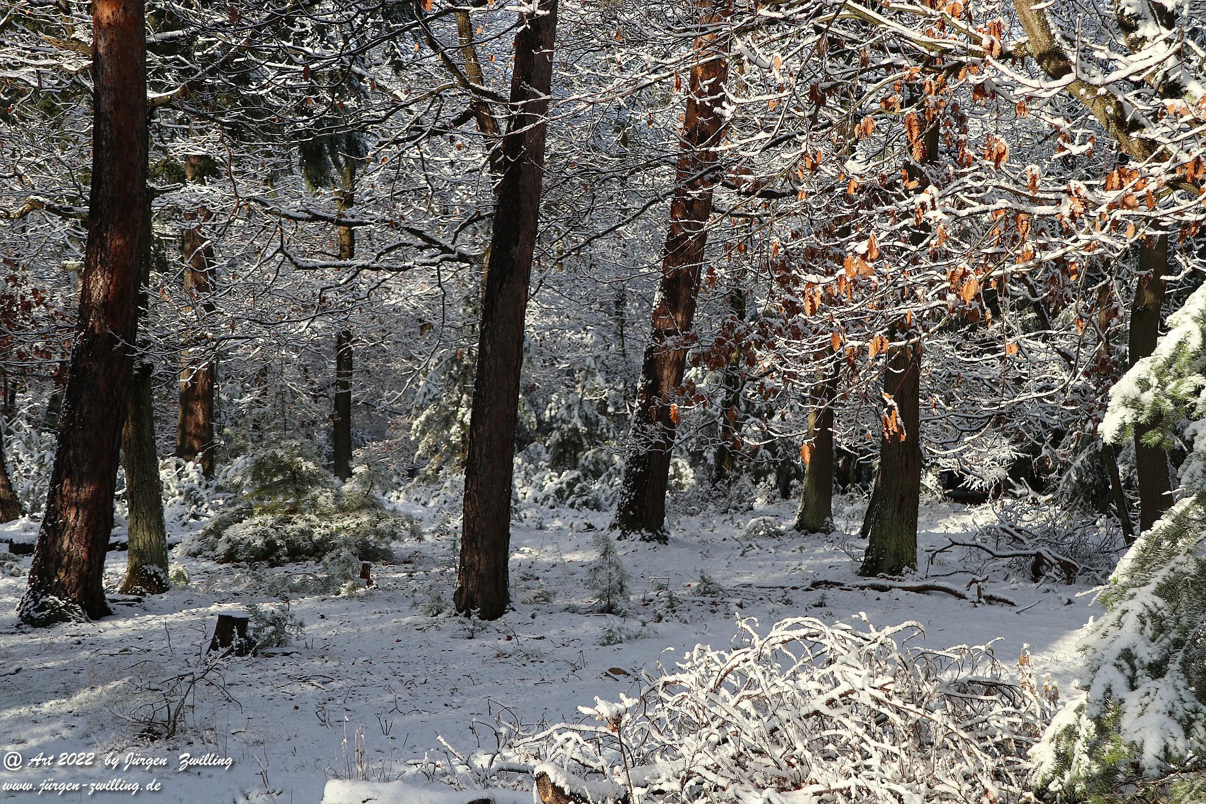 Schnee in Rheinhessen 18