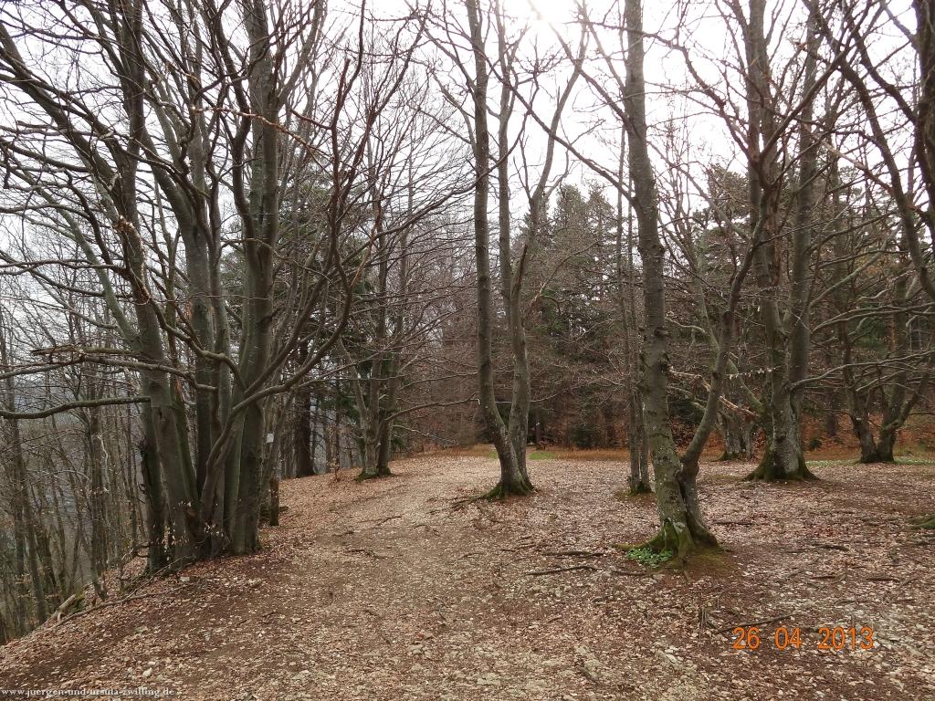 Philosophische Bildwanderung Traufgang Zollernburg-Panorama