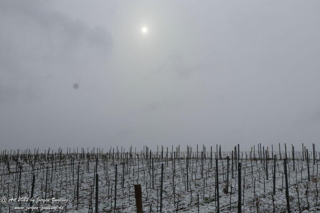 April Weinberge 2022 - Hackenheim - Rheinhessen