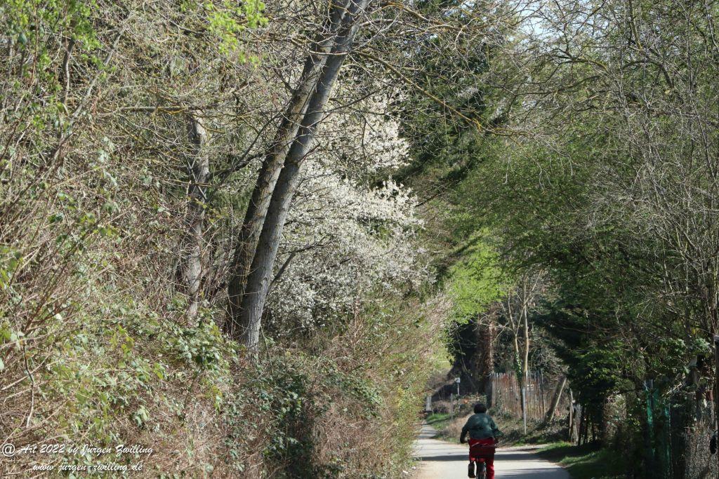 Philosophische Bildwanderung Rheinwanderung von Bingen Kempten nach Ingelheim - Rheinhessen