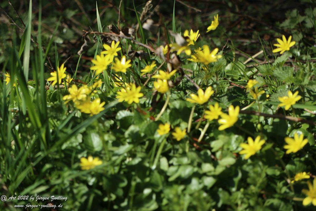 Philosophische Bildwanderung Rheinwanderung von Bingen Kempten nach Ingelheim - Rheinhessen