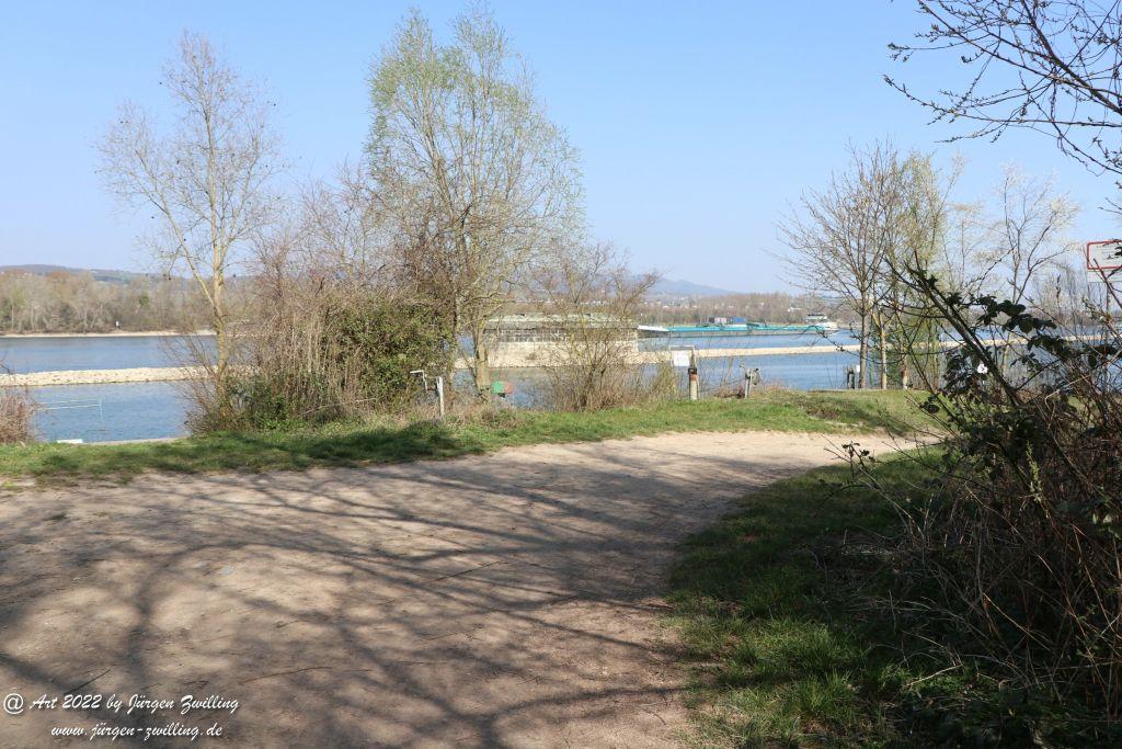 Philosophische Bildwanderung Rheinwanderung von Bingen Kempten nach Ingelheim - Rheinhessen