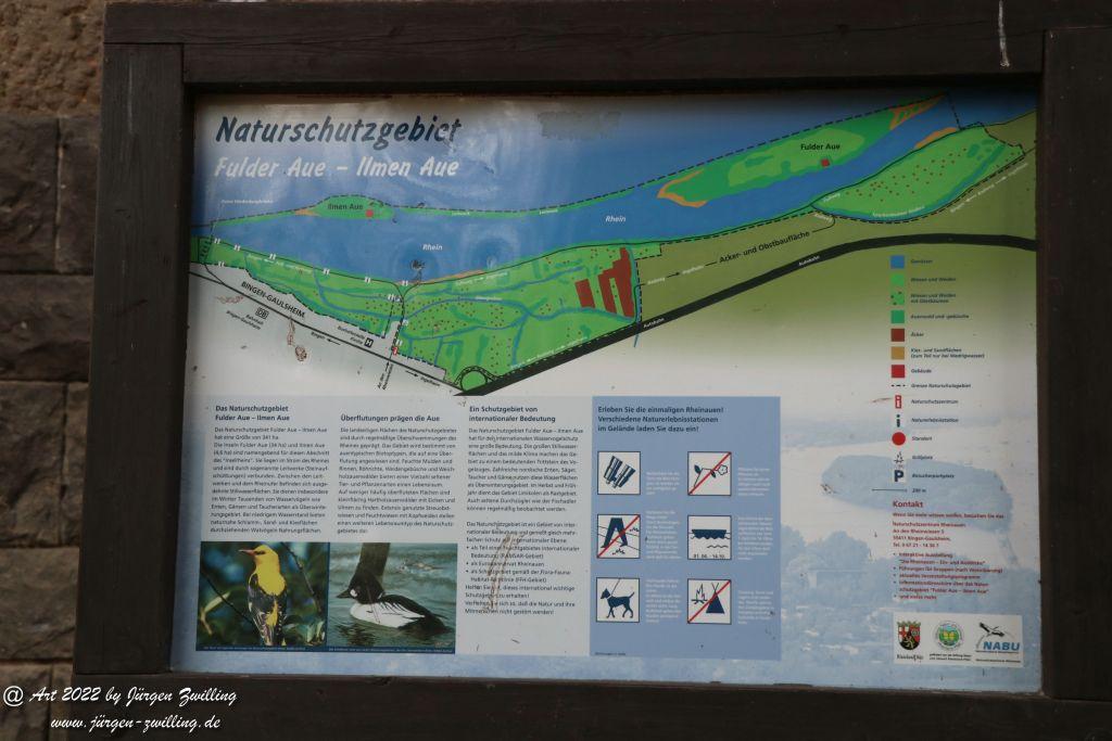 Philosophische Bildwanderung Rheinwanderung von Bingen Kempten nach Ingelheim - Rheinhessen