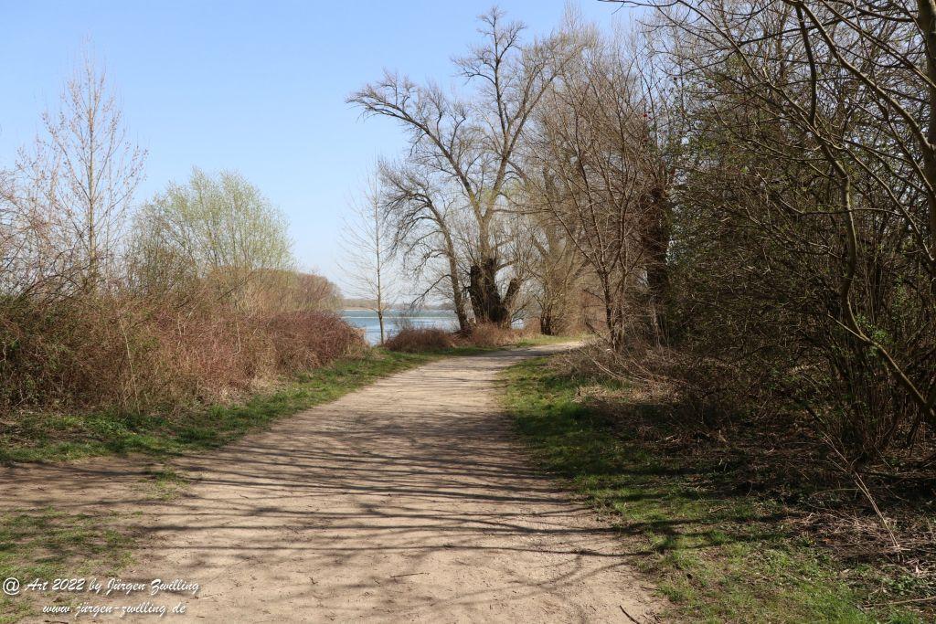 Philosophische Bildwanderung Rheinwanderung von Bingen Kempten nach Ingelheim - Rheinhessen