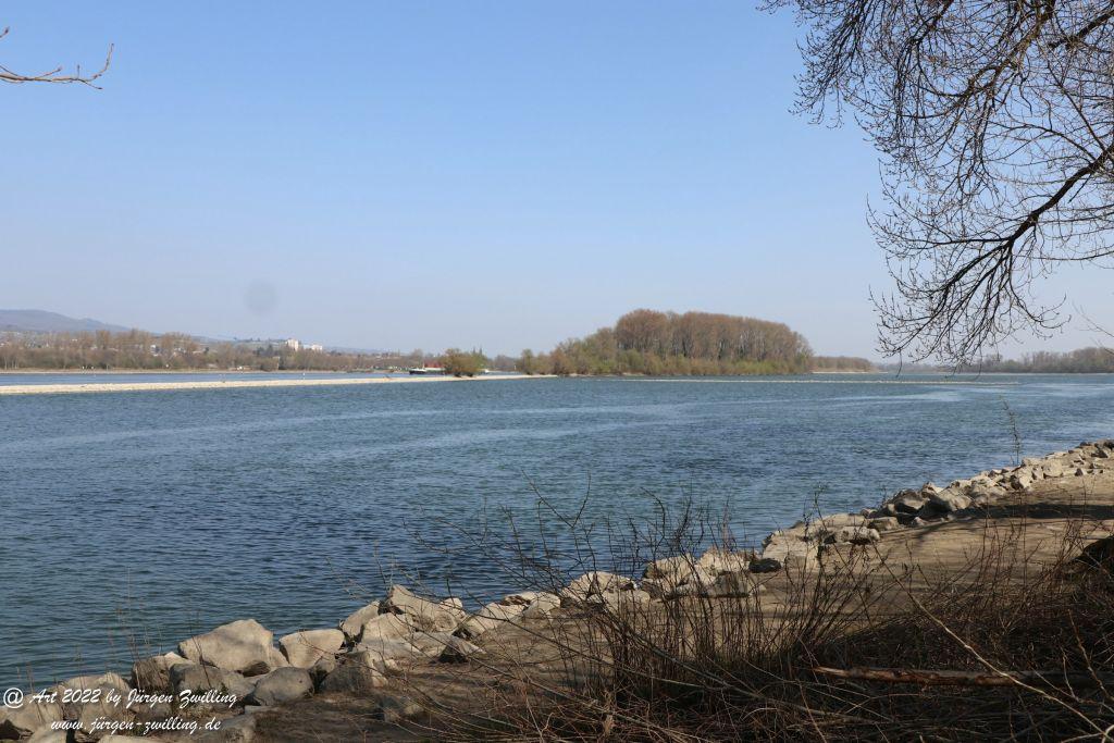 Philosophische Bildwanderung Rheinwanderung von Bingen Kempten nach Ingelheim - Rheinhessen