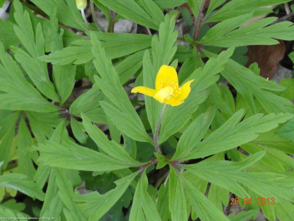 Philosophische Bildwanderung Traufgang Zollernburg-Panorama