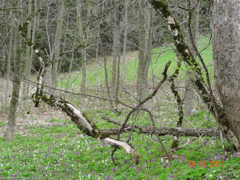 Philosophische Bildwanderung Traufgang Zollernburg-Panorama
