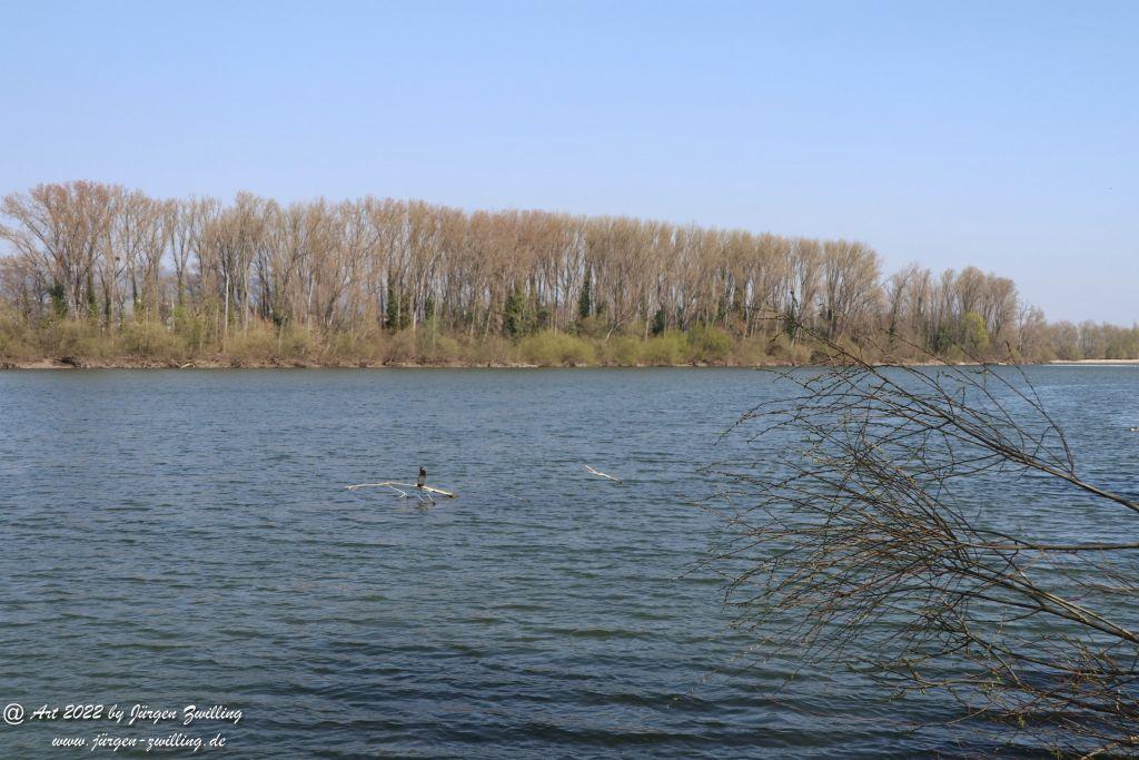 Philosophische Bildwanderung Rheinwanderung von Bingen Kempten nach Ingelheim - Rheinhessen