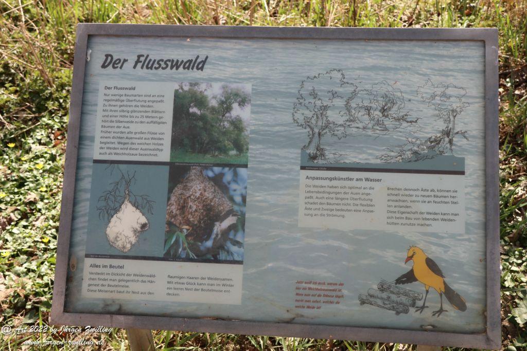 Philosophische Bildwanderung Rheinwanderung von Bingen Kempten nach Ingelheim - Rheinhessen