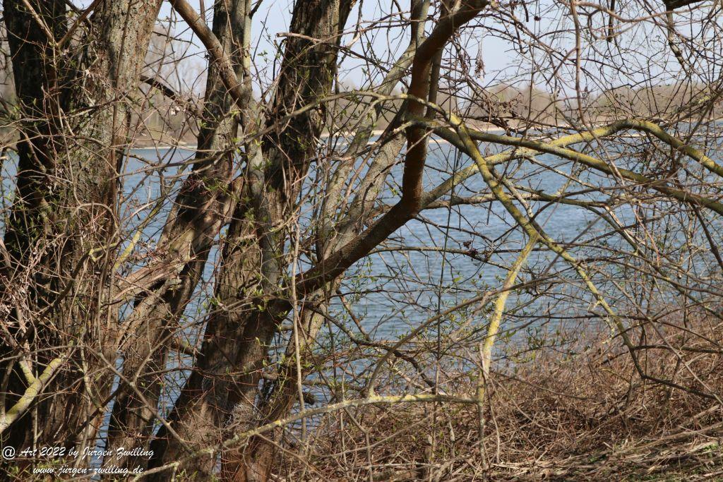 Philosophische Bildwanderung Rheinwanderung von Bingen Kempten nach Ingelheim - Rheinhessen