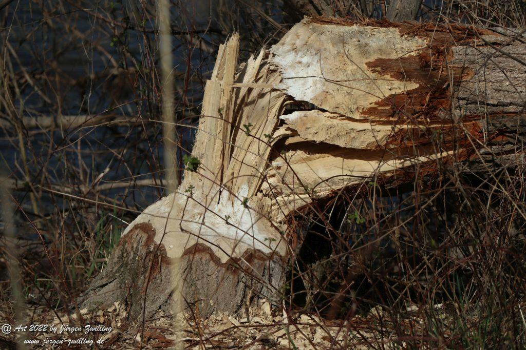 Philosophische Bildwanderung Rheinwanderung von Bingen Kempten nach Ingelheim - Rheinhessen