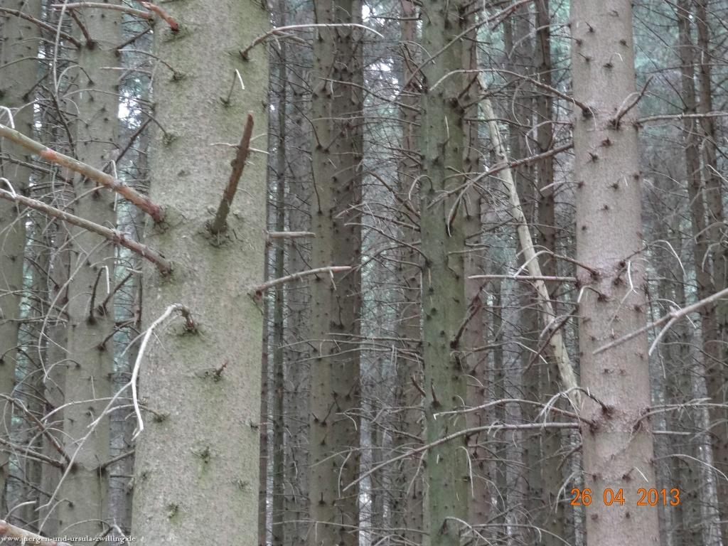 Philosophische Bildwanderung Traufgang Zollernburg-Panorama