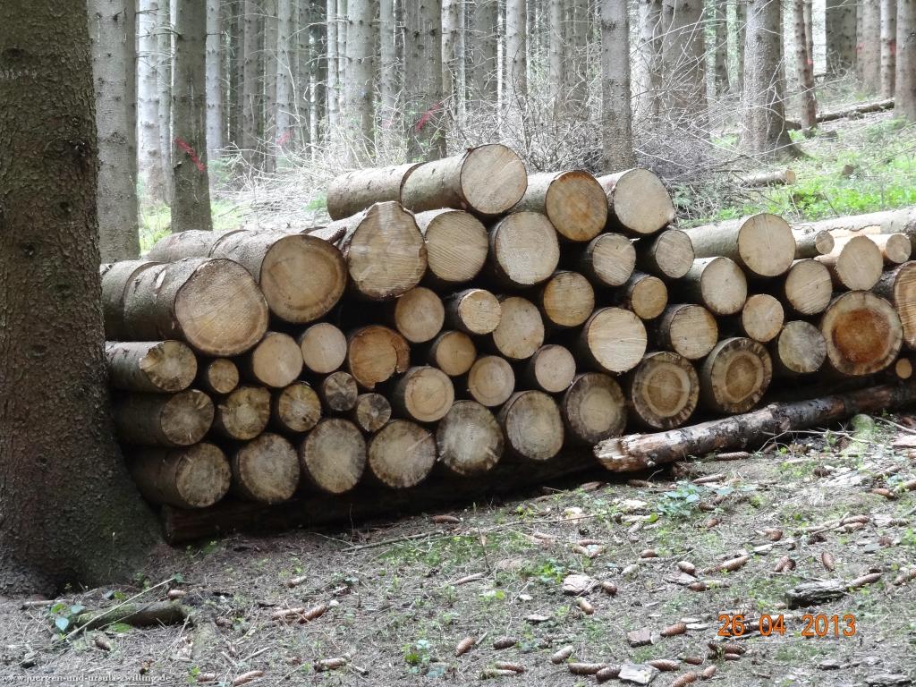Philosophische Bildwanderung Traufgang Zollernburg-Panorama