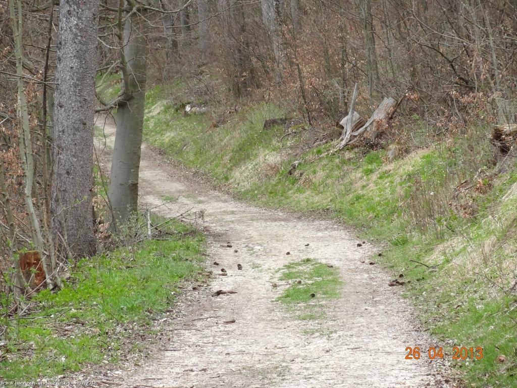 Philosophische Bildwanderung Traufgang Zollernburg-Panorama